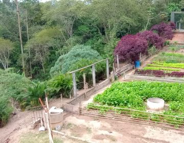 WhatsApp Image 2025-07-21 at 20.03.38 (1)