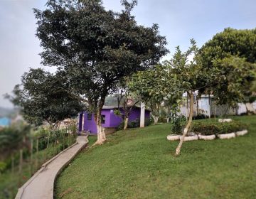 WhatsApp Image 2025-07-21 at 20.07.04 (3)